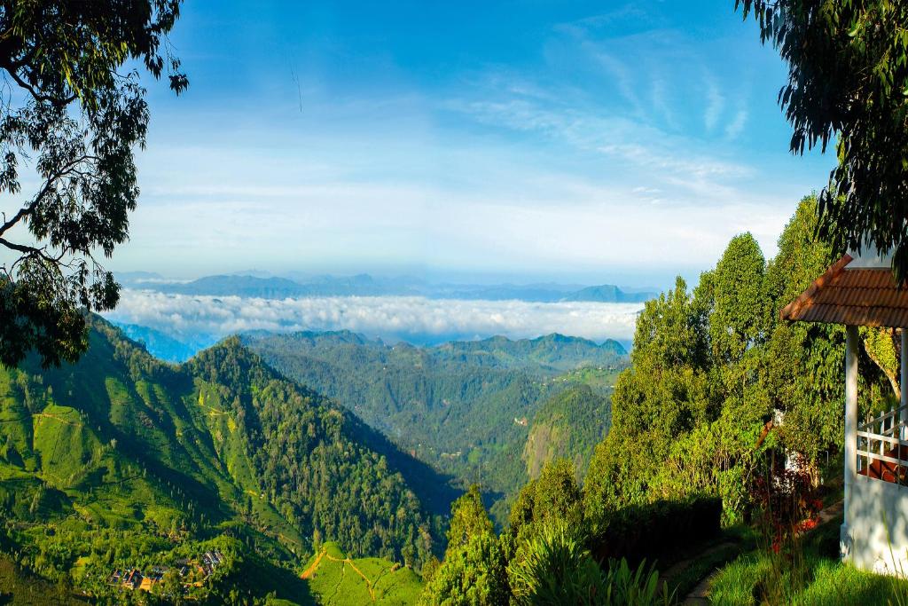 Blackberry Hills Munnar- Nature Resort & Spa