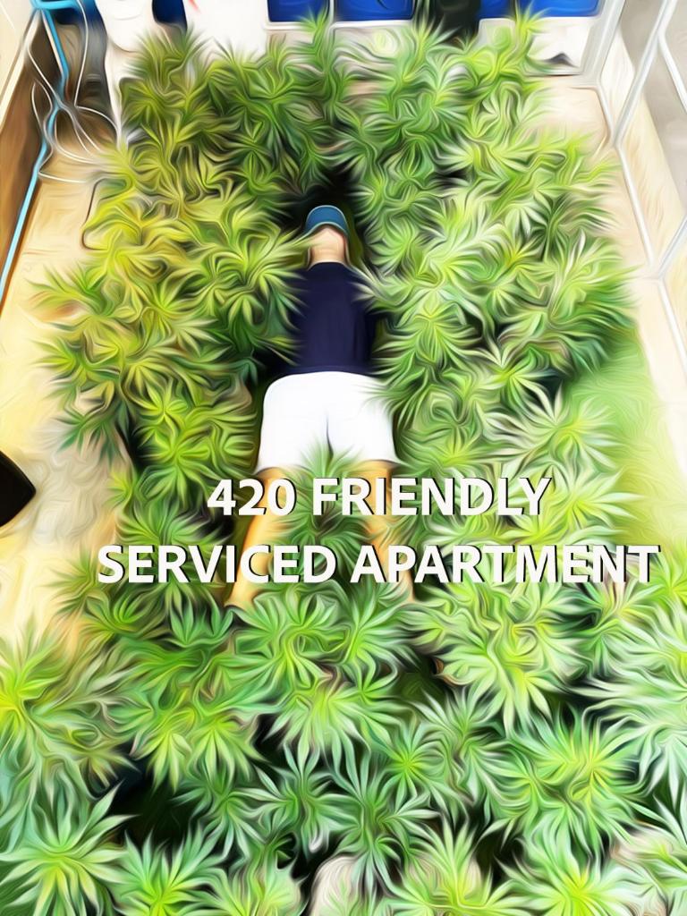 Rent V38 #420 friendly